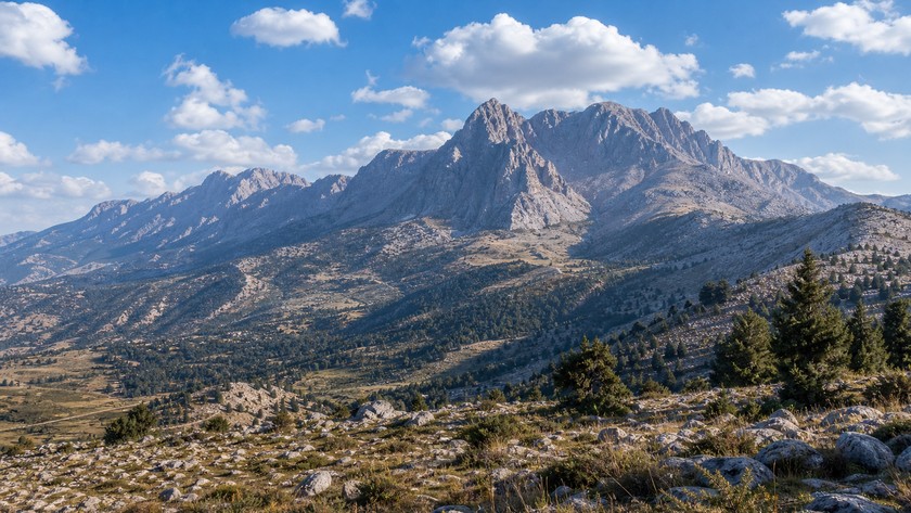 Çınar Plajı Akyaka