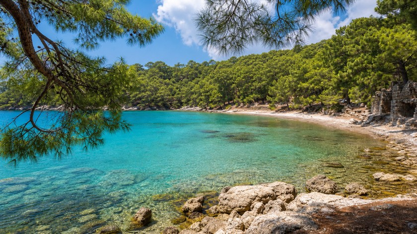 Marmaris marina, koylar ve yeşil kıyılar