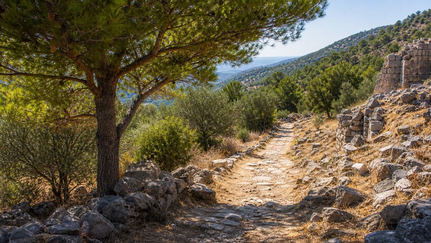 Pedasa yürüyüş rotası ve Bodrum çevresi doğası