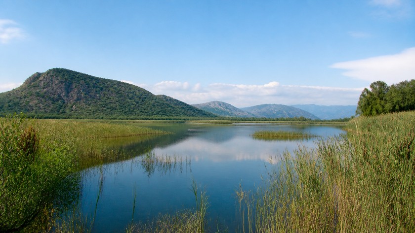 Sülüngür Gölü Ortaca