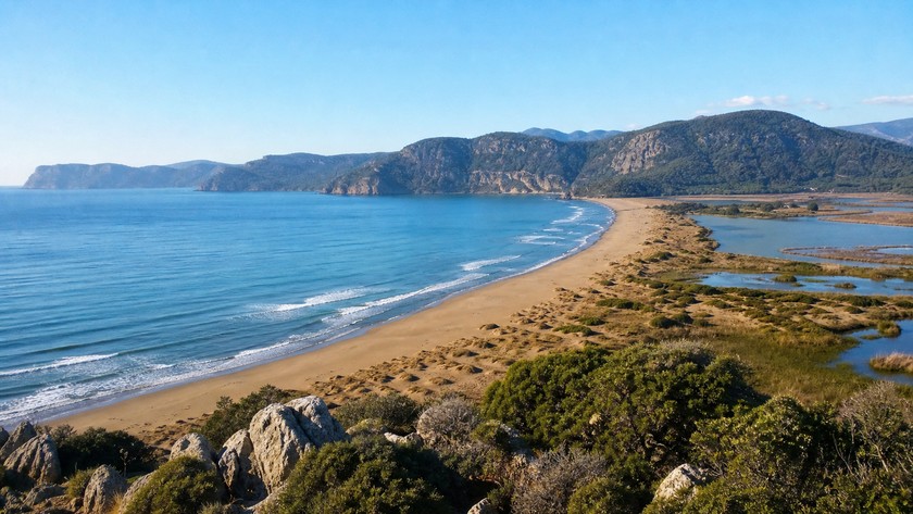 İztuzu Plajı Rehberi: Dalyan'da Deniz, Ulaşım ve Koruma Notları