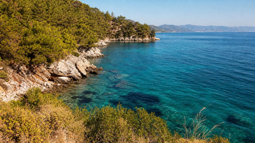 Mazı çevresinde koy ve deniz dokusu