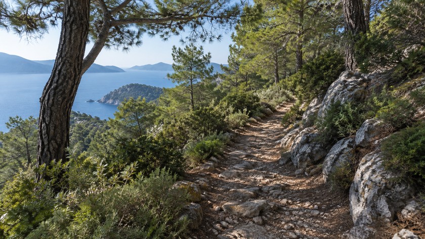 Fethiye çevresinde kayalık orman patikası ve Akdeniz bitki örtüsü