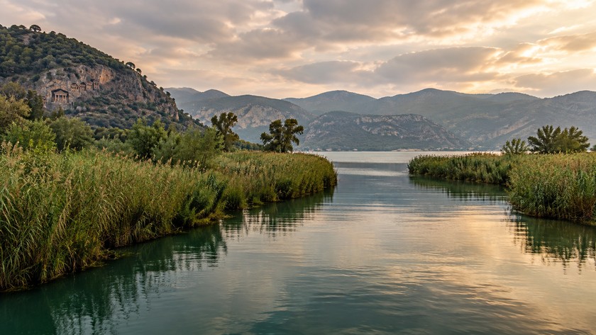 Dalyan sazlıkları ve kıyı manzarası