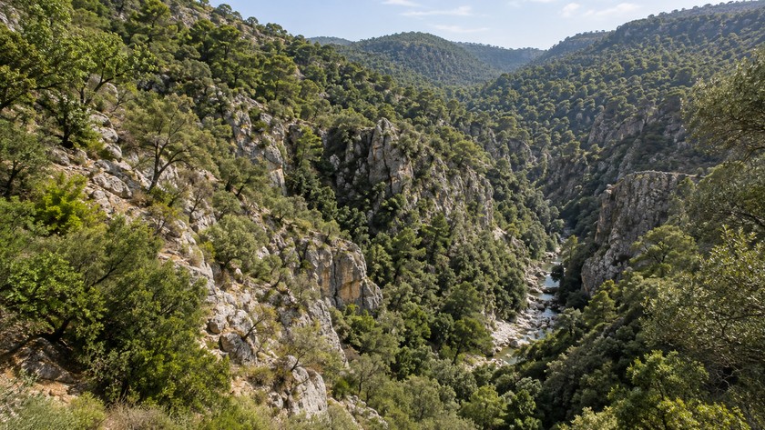 Gökçeler Kanyonu Rehberi: Milas'ta Doğa ve Ziyaret Planı