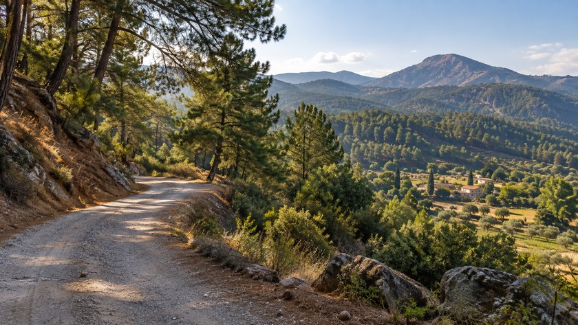 Kavaklıdere orman yolu ve doğa